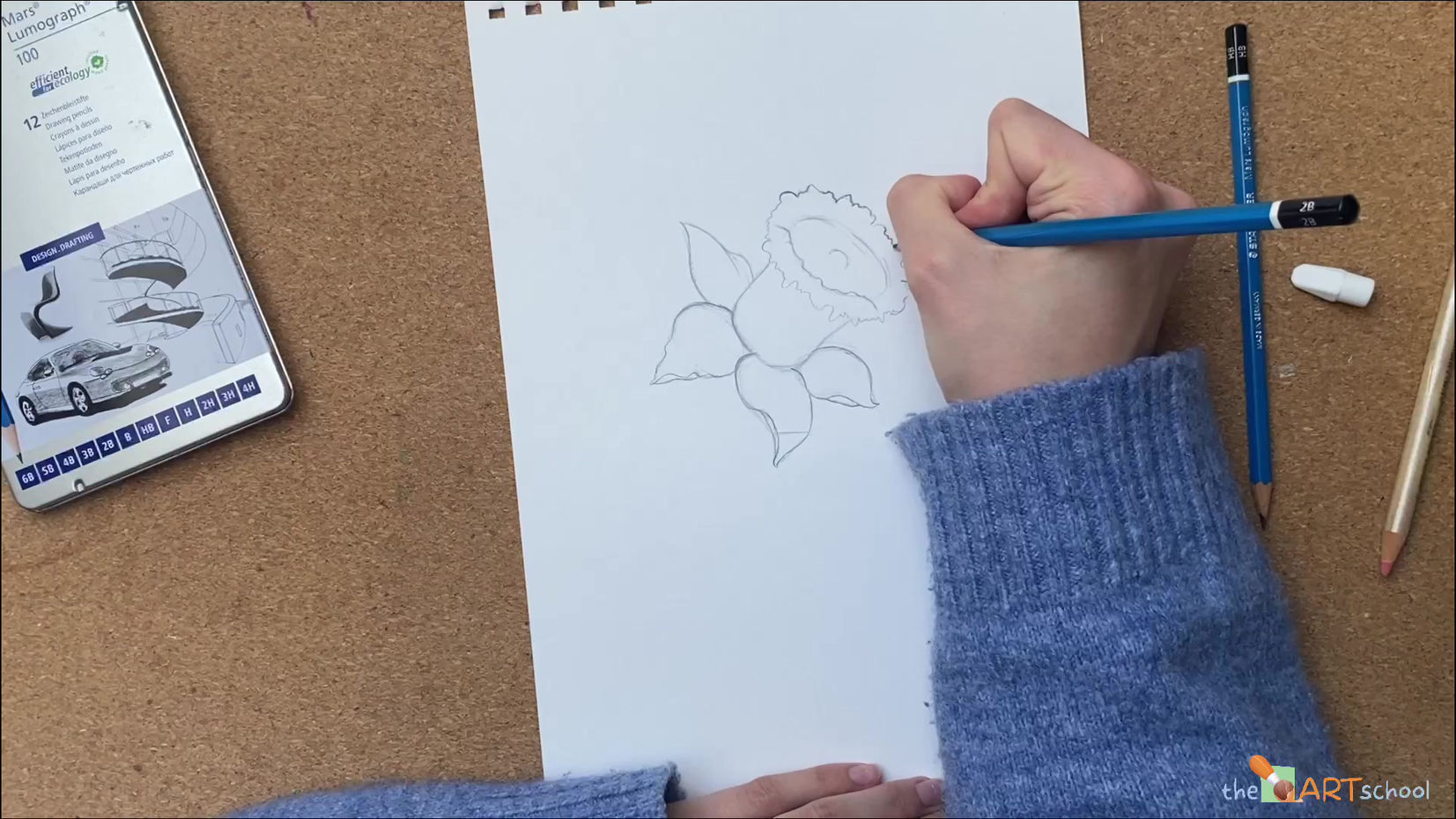Narzisse mit offenem Kelch - Blumen zeichnen